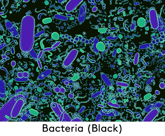 Black Bacteria Smock Dress