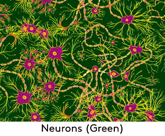 Neurons Shift Dress (Green)