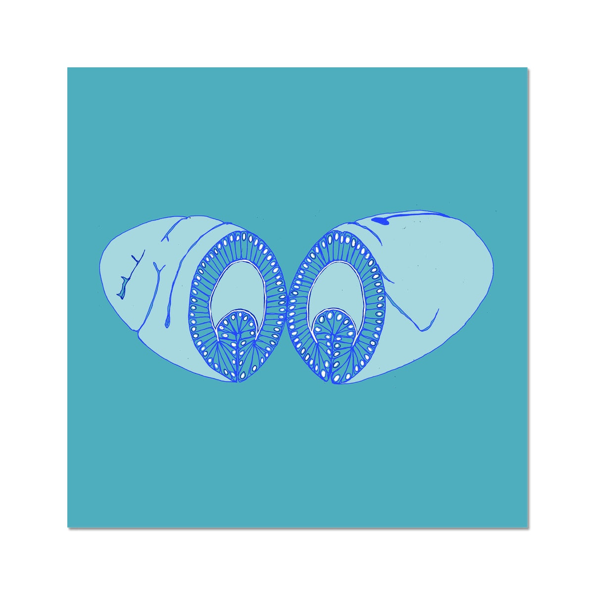 Drosophila Gastrulation Hahnemühle German Etching Print