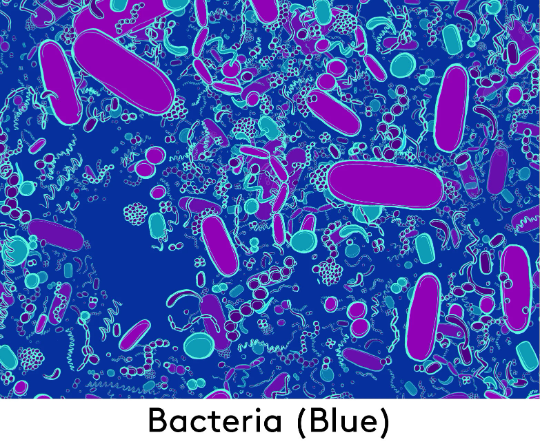 Blue Bacteria Shapes Cotton Tennis Dress