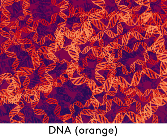Orange DNA Smock Dress