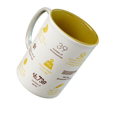 Gallus chick mug - Boutique Science