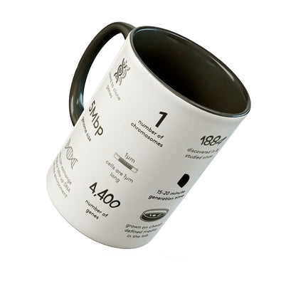 Escherichia coli mug - Boutique Science