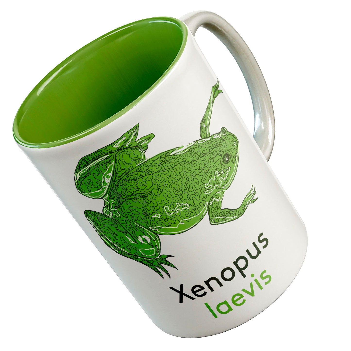 Xenopus frog mug - Boutique Science