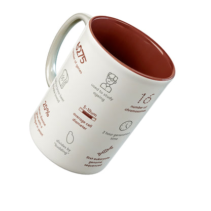 Saccharomyces cerevisiae mug - Boutique Science